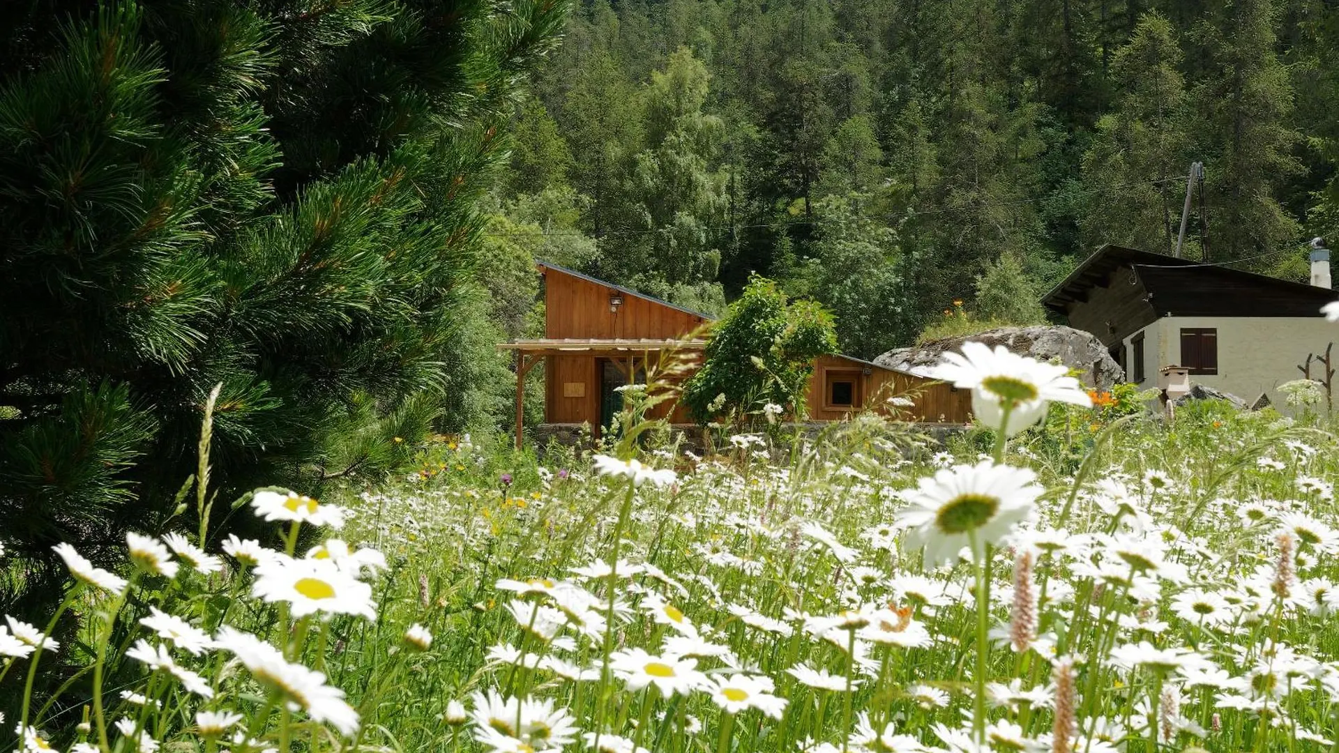 Chalet De Charme Les Rochers Du Loup Mercantour Belvedere Gordolasque France