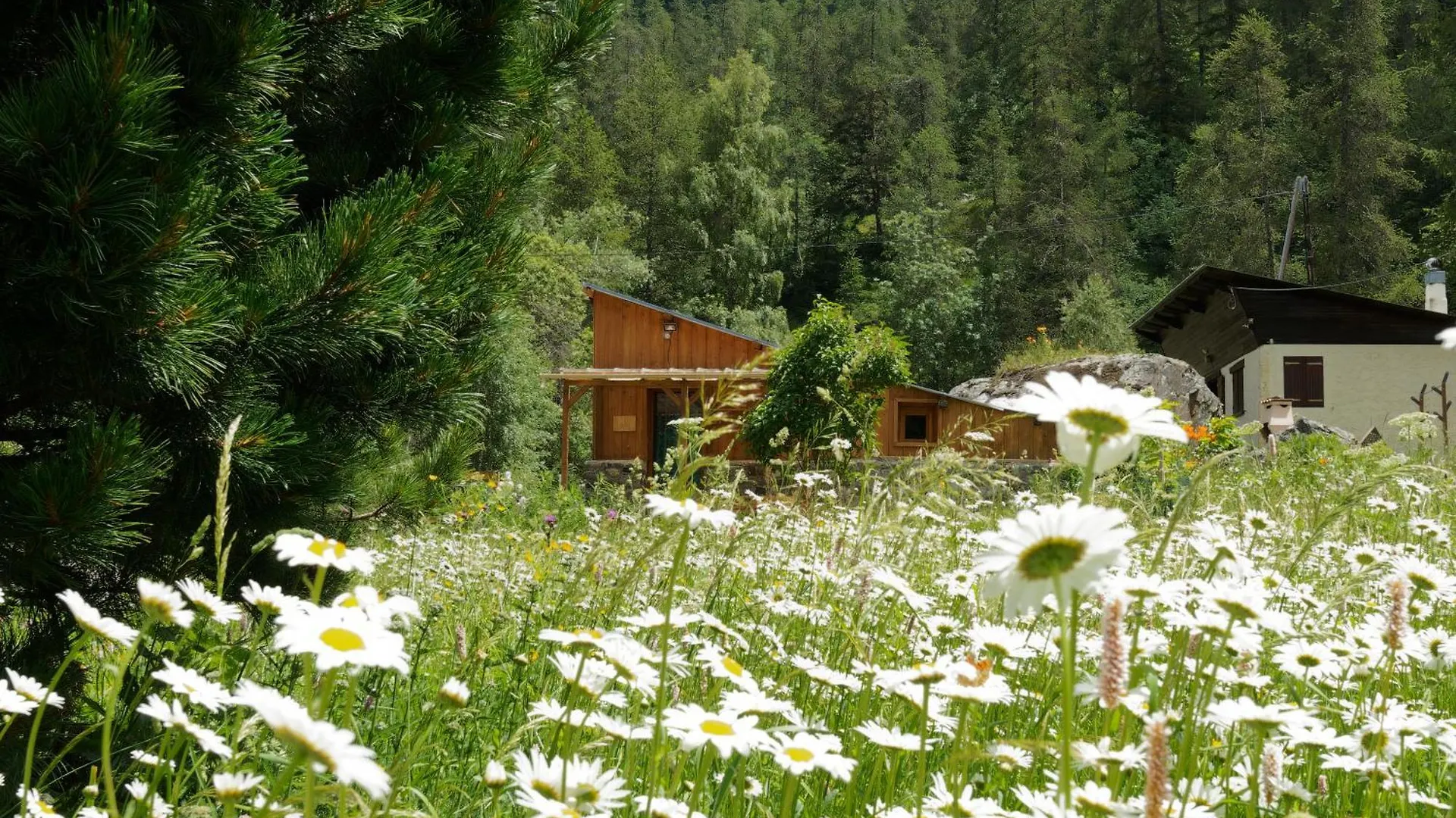 Chalet De Charme Les Rochers Du Loup Mercantour Belvedere Gordolasque