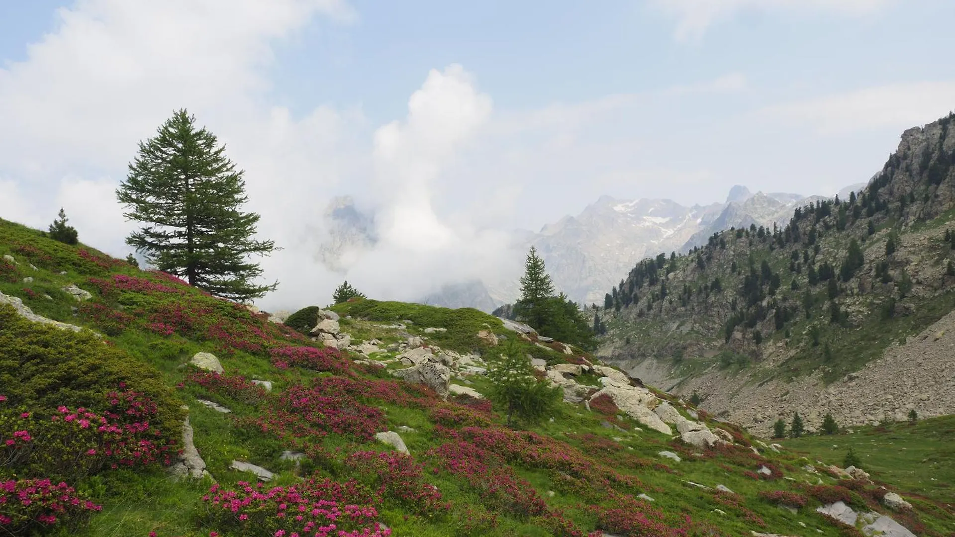 Chalet De Charme Les Rochers Du Loup Mercantour Belvedere Gordolasque  Belvedere (Alpes-Maritimes)